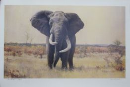 Paul Bosman (South African) Limited Edition Prints