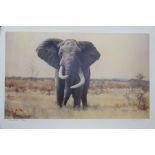 Paul Bosman (South African) Limited Edition Prints