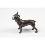 Bronze Cold Painted French Bulldog