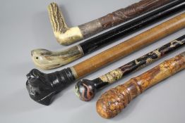 Five Vintage Walking Sticks