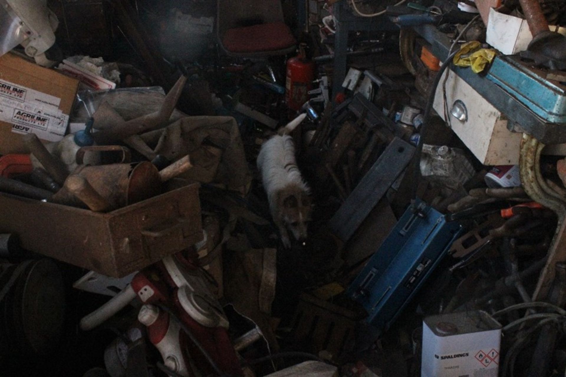 CONTENTS OF A LARGE SHED - Image 10 of 25