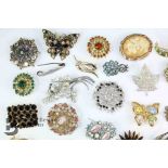 A Quantity of Costume Jewellery Brooches
