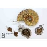 Silver Ammonite Pendant and Earrings