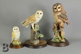 Border Fine Arts - Owls and Leonard Collection Owl