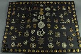 Display of British Infantry Cap Badges and Buttons