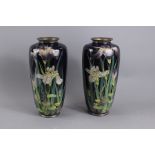 Late Meiji Period Japanese Cloisonne Vases