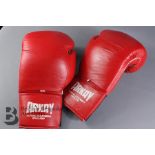 A Pair of Arkay Boxing gloves