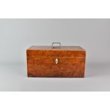 English 19th Century Burr Yew Tea Caddy