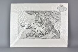 Three Clive Meredith Giclee Limited Edition Signed Wild Cats Prints