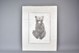 Two Gary Hodges Limited Edition Signed Bear Prints