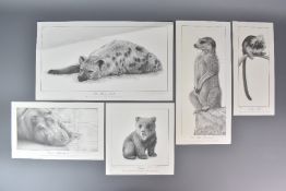 Five Limited Edition Pencil Signed Lithograph Prints by David Dancey-Wood