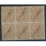1873-80 8d orange Imperforate overprinted "SPECIMEN" block of 6 Mint.