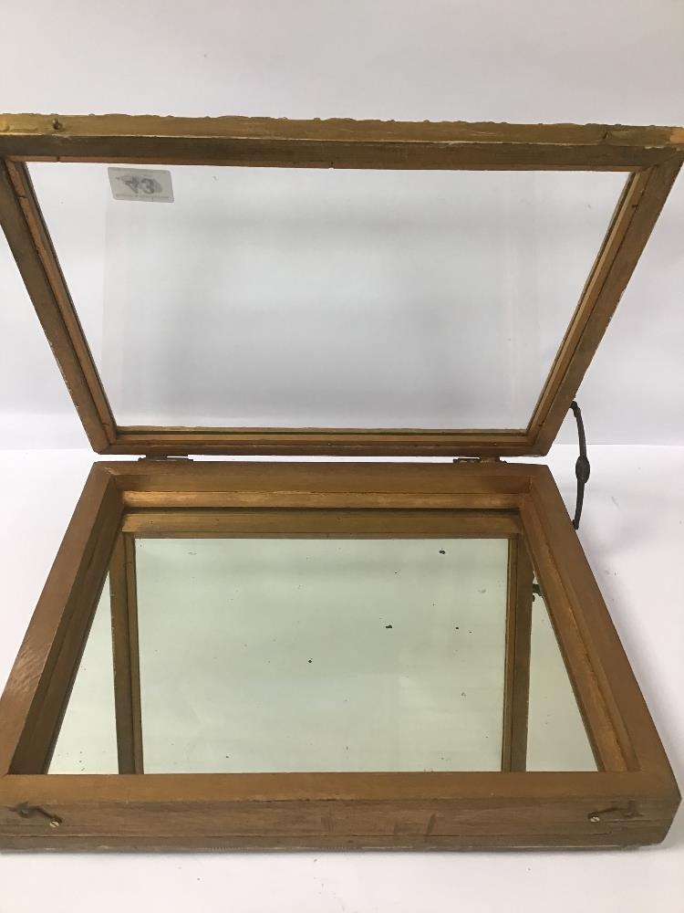 A GLAZED WOODEN DISPLAY CASE OF RECTANGULAR FORM WITH MIRRORED BACK, GILT BORDER,42CM WIDE - Image 3 of 3