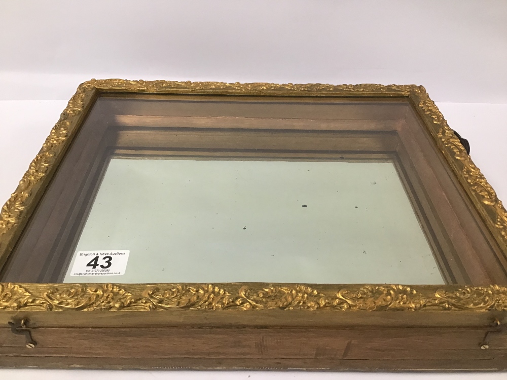 A GLAZED WOODEN DISPLAY CASE OF RECTANGULAR FORM WITH MIRRORED BACK, GILT BORDER,42CM WIDE - Image 2 of 3