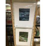 TWO LIMITED EDITION FRAMED AND GLAZED PRINTS BY SUSAN JAMESON/CHRISTOPHER PENNY