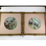 AN ORNATELY FRAMED PAIR OF EXQUISITE PAINTINGS OF BIRDS AND FLOWERS SIGNED MT AND DATED 1896, BOTH