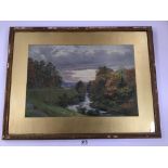 A FRAMED AND GLAZED WATERCOLOUR OF A WOODLAND SCENE SIGNED W ROBINSON 58CM BY 76CM