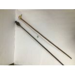 TWO LATE 19TH/EARLY 20TH CENTURY WALKING CANES, ONE WITH CARVED BONE DOGS HEAD AS A HANDLE, THE
