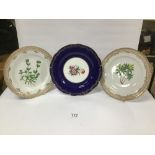 TWO LATE 19TH CENTURY ROYAL COPENHAGEN PORCELAIN PLATES WITH HAND PAINTED FLORAL DECORATION AND