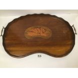 AN EDWARDIAN MAHOGANY KIDNEY SHAPED TEA TRAY WITH SHELL INLAID DECORATION, 58CM WIDE