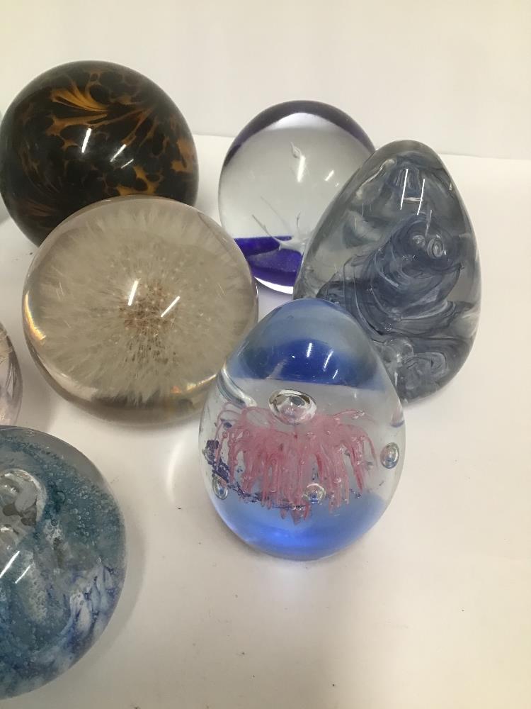 ELEVEN ASSORTED GLASS PAPERWEIGHTS, INCLUDING CAITHNESS 'ACROBAT', LIMITED EDITION SELKIRK GLASS ' - Image 2 of 6