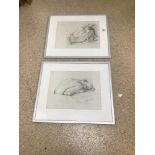 A PAIR OF FRAMED AND GLAZED PRINTS SIGNED VAN HOVE 49 X42CMS