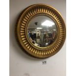 A GILDED CONVEX MIRROR 37CMS DIAMETER