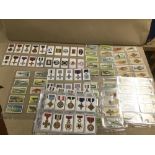 AN ASSORTMENT OF CIGARETTE CARDS IN PLASTIC FOLDER