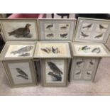 A COLLECTION OF NINE FRAMED AND GLAZED PRINTS OF BIRDS