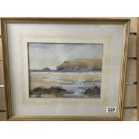 A FRAMED AND GLAZED WATERCOLOUR BY EMMA PIZEY OF C