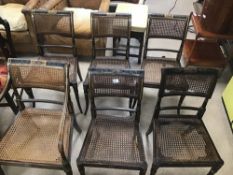 SEVEN REGENCY CHAIRS WITH WICKER SEATS AND BACKS ON TURNED OUT LEGS (ONE AF)
