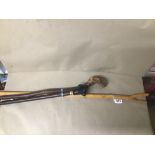 A GROUP OF THREE WALKING STICKS, ONE OF WHICH WITH A DOG HEAD SHAPED GRIP, LARGEST 124CM LONG
