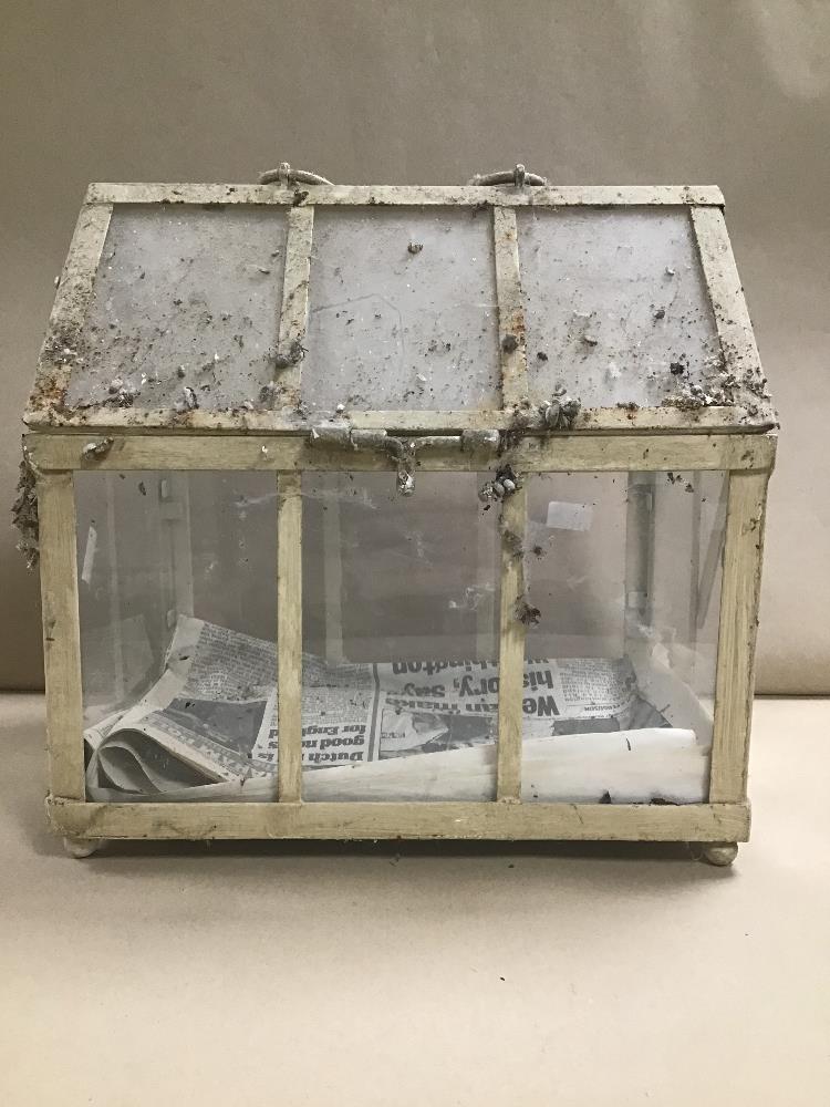 AN VICTORIAN STYLE GLASS TERRARIUM - Image 2 of 2