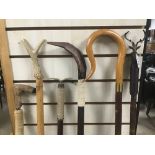 SIX LARGE WALKING STICKS, INCLUDING ONE HOOF HANDLED, METAL STAG HANDLE AND MORE, 141CM HIGH