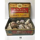 THIRTEEN COWRIE SHELLS WITH A VINTAGE TIN ANVIL CARAMELS