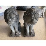 A PAIR OF CONCRETE LIONS 62 CM