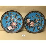 A PAIR OF JAPANESE CLOISONNE WALL PLATES DECORATED WITH BIRDS AND FLOWERS ON A BLUE BACKGROUND 30CM