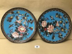 A PAIR OF JAPANESE CLOISONNE WALL PLATES DECORATED WITH BIRDS AND FLOWERS ON A BLUE BACKGROUND 30CM