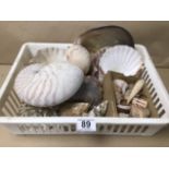 A COLLECTION OF VARIOUS SEA SHELLS, INCLUDING A NAUTILUS SHELL, CORAL AND MORE