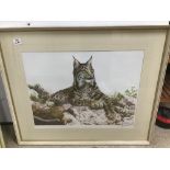 A FRAMED AND GLAZED PRINT SIGNED BY ERIC TENNEY OF A LYNX CAT 85 X 71CMS