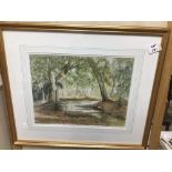 A FRAMED AND GLAZED WATERCOLOUR BY CHRISTINE RIX TITLED (A FOREST WALK) 51 X 44 CM