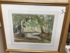 A FRAMED AND GLAZED WATERCOLOUR BY CHRISTINE RIX TITLED (A FOREST WALK) 51 X 44 CM