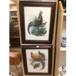 TWO VINTAGE FRAMED AND GLAZED PRINTS OF PHEASANTS AND A COCKRELL 88 X 55CMS