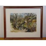 George J Drought framed and glazed watercolour titled Fallen Tree, signed bottom right, 27 x 37cm