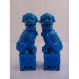 A pair of oriental blue glazed porcelain Dogs of Foe on square plinths