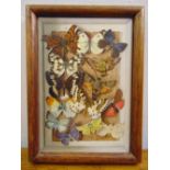 Edna Bizon framed painted butterflies, signed bottom right, 17 x 12cm