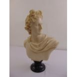 A composition classical bust on raised wooden circular stand