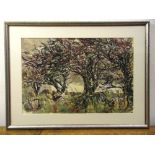 Arthur Giadelli framed and glazed watercolour titled Thorn Trees in Spring 1995, 38 x 56cm