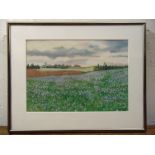 J.C. Trpkovic framed and glazed watercolour of flowers in a field, signed bottom right, 21 x 30cm