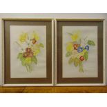 Elsie Wilson two framed and glazed still life watercolours of flowers, signed bottom right, 32 x